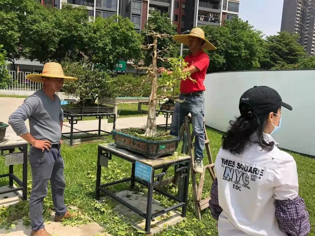 广州华南商贸职业学院怎么样_广州华南商贸职业学费_广州华南商贸职业学院多大