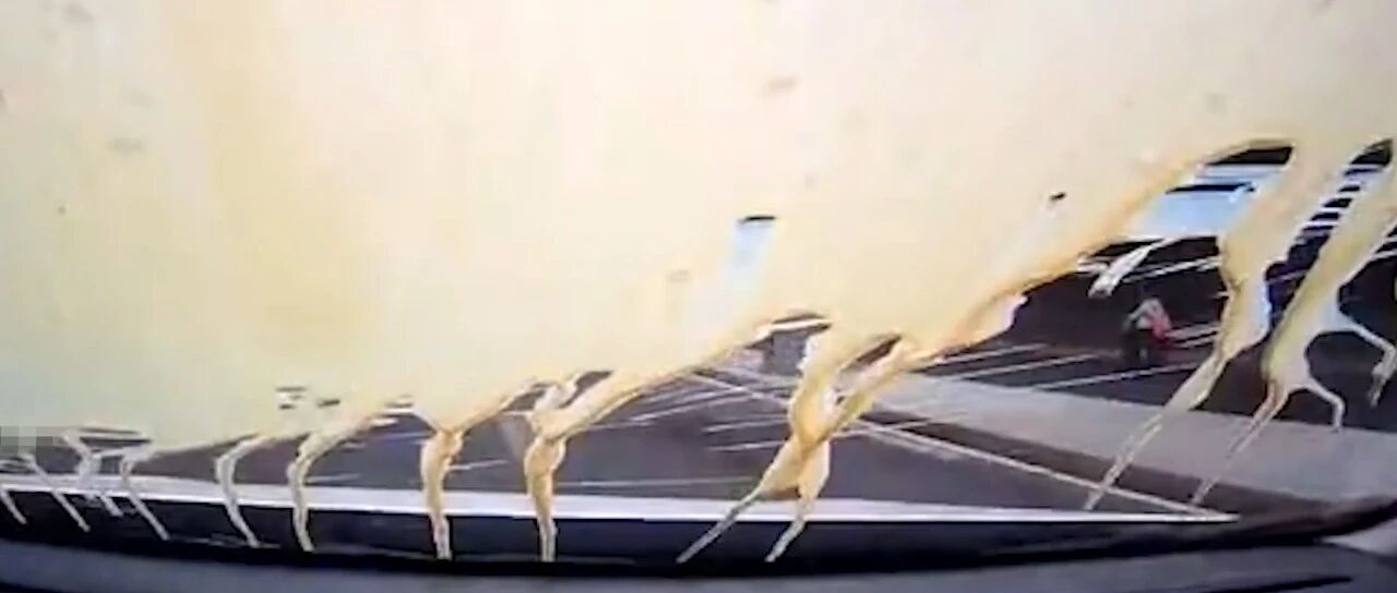 要不要命！疯狂别车 还扔后车满窗奶茶