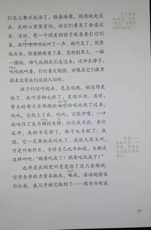 18 牛和鹅/任大霖(Page75)