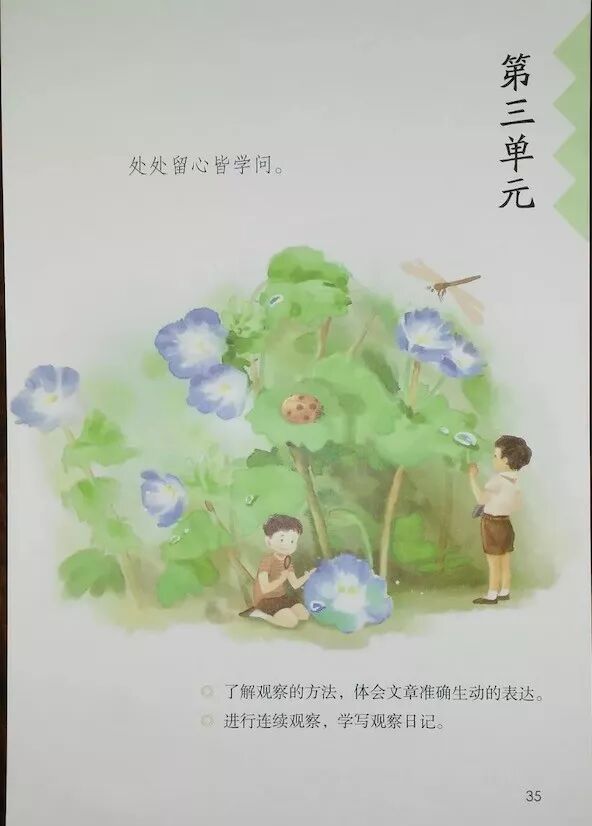 第三单元(Page33)