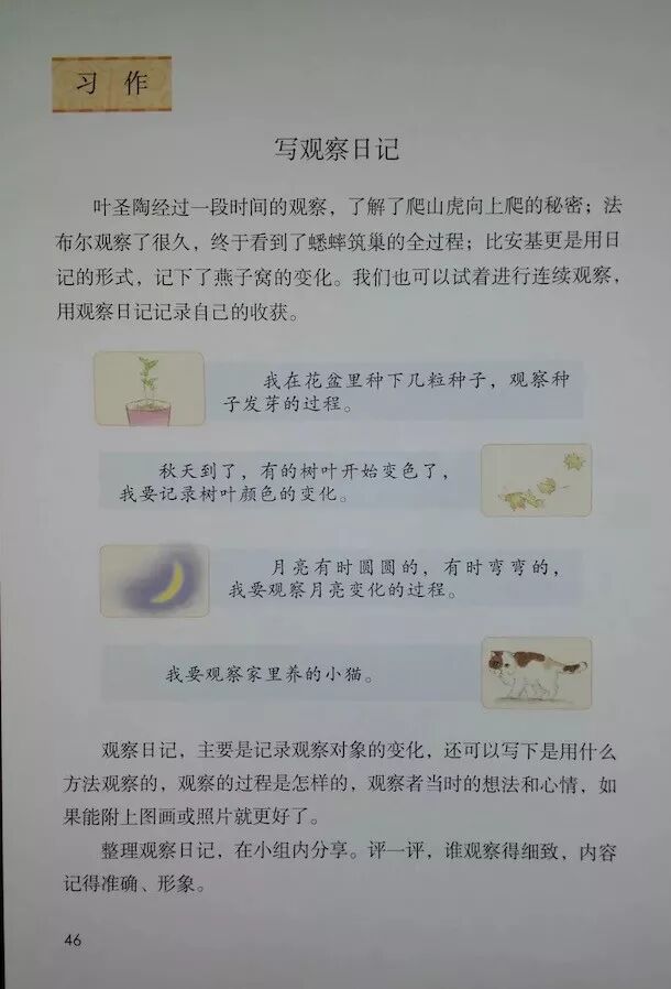 ○习作:写观察日记(Page44)