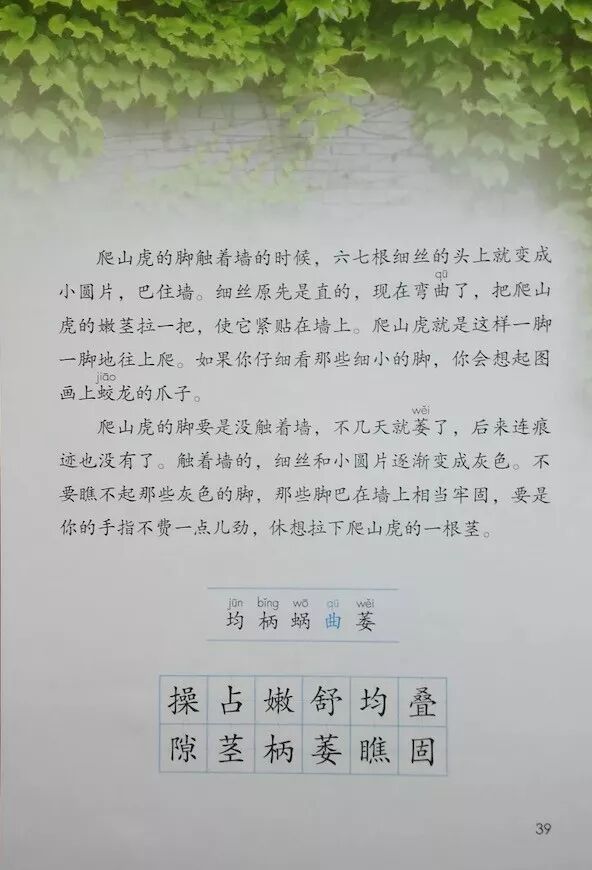 10 爬山虎的脚/叶圣陶(Page37)