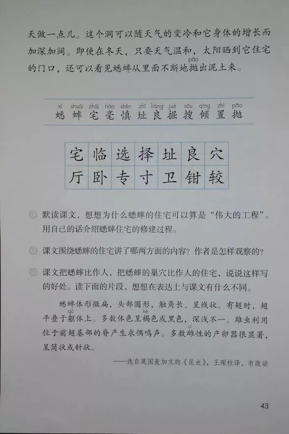 11 蟋蟀的住宅(Page41)