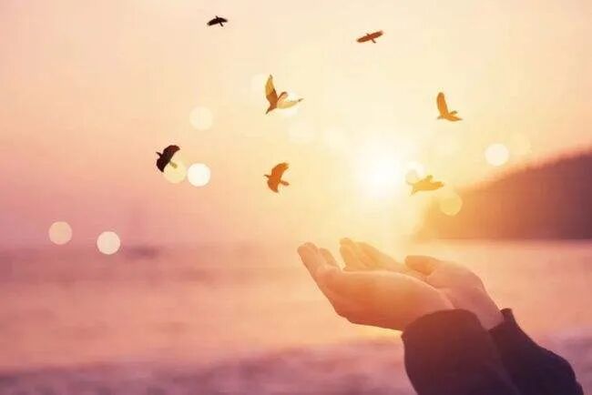 实践篇|如何识别心的指引,真正做自己 实践篇|如何识别心的指引,真正做自己