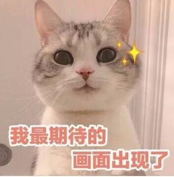 超细纤维毛巾_毛巾纤维超细怎么办_毛巾纤维超细什么意思