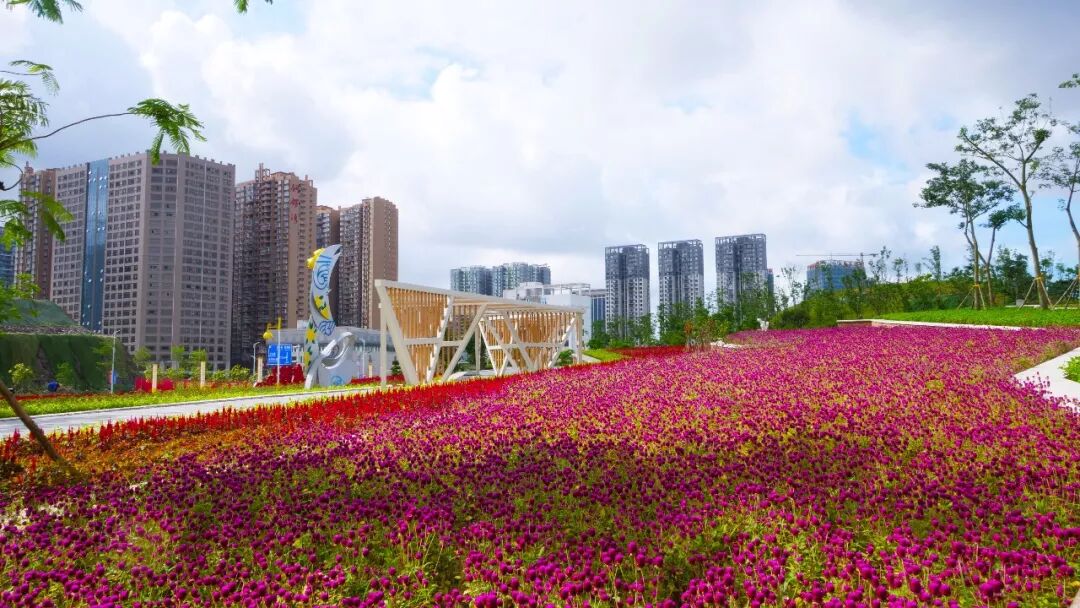 【园博园美食节】饕餮盛宴免费享用，专“味”你而来!(图5)