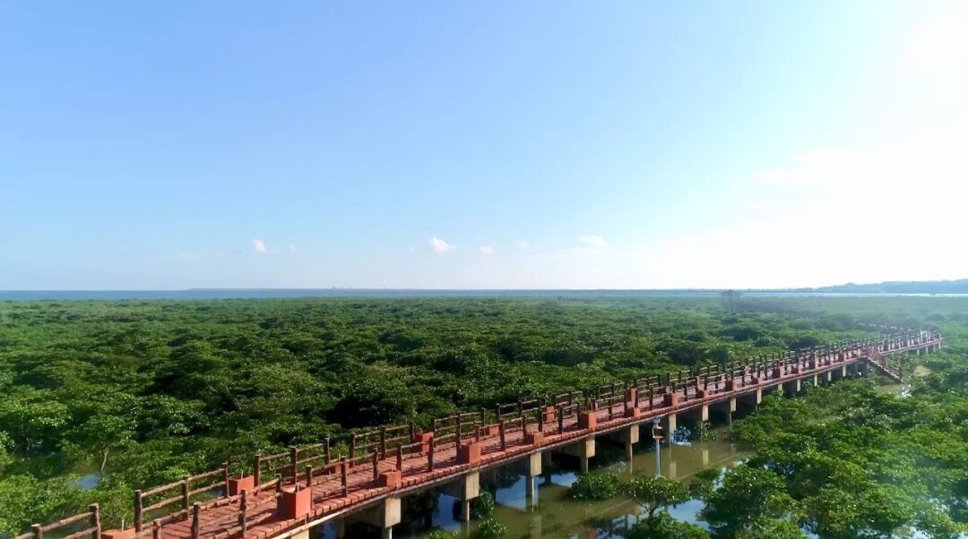 【聚焦防城港】天天飞传媒为国际医学创新合作论坛宣传助力！(图3)