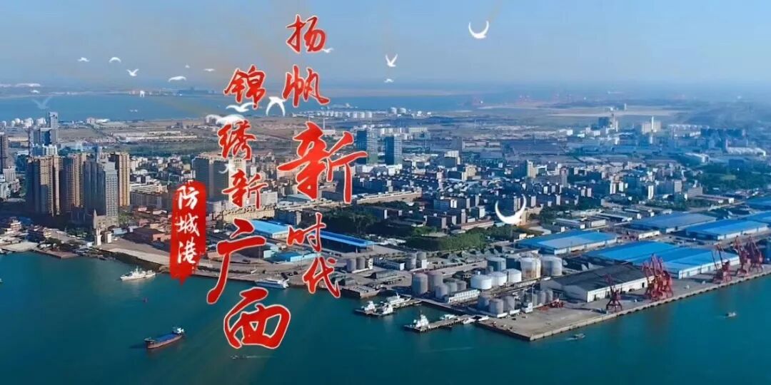 【聚焦防城港】天天飞传媒为国际医学创新合作论坛宣传助力！(图13)