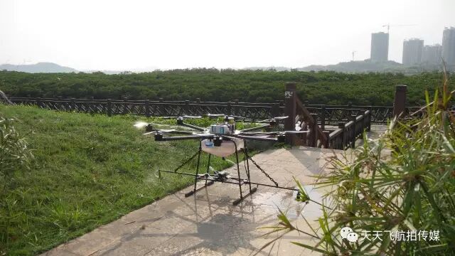 【骄傲】天天飞两家公司成功入选广西自治区2019年 科技型中小企业名单(图17)