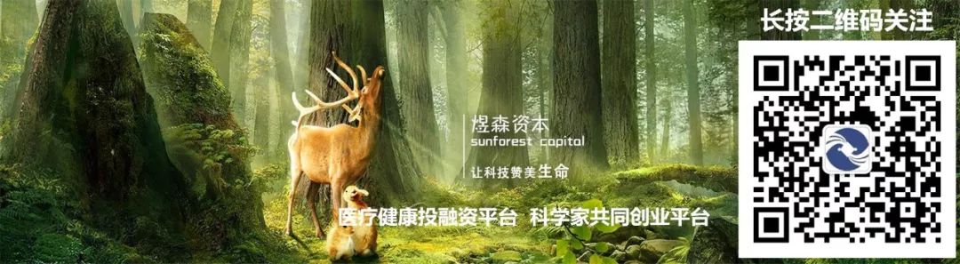 煜森资本