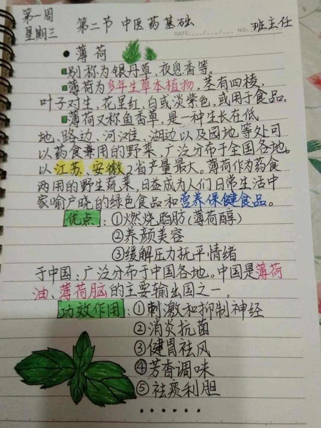 学校概况(图29)