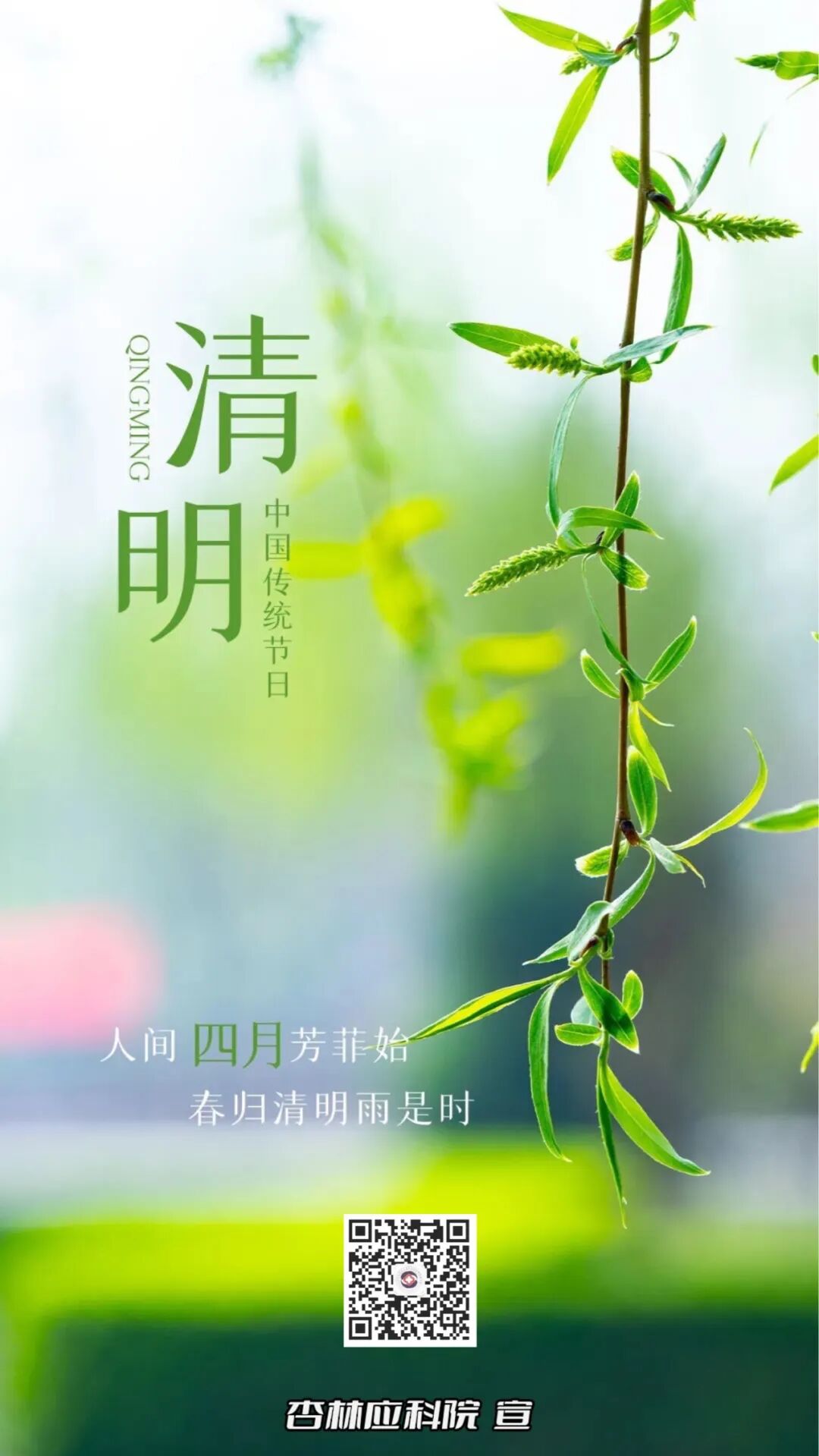 人间四月芳菲始春归清明雨是时