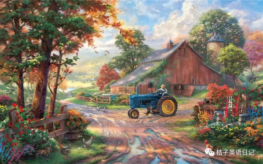 发展规划的英文简称_发展规划英语翻译_发展规划英文