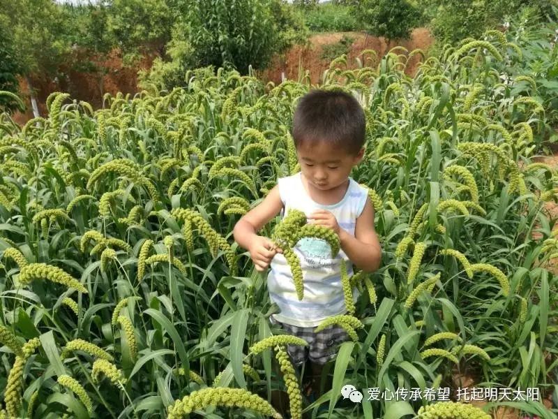 优秀经验分享模板_15天优质经验分享图片_优质精选图片