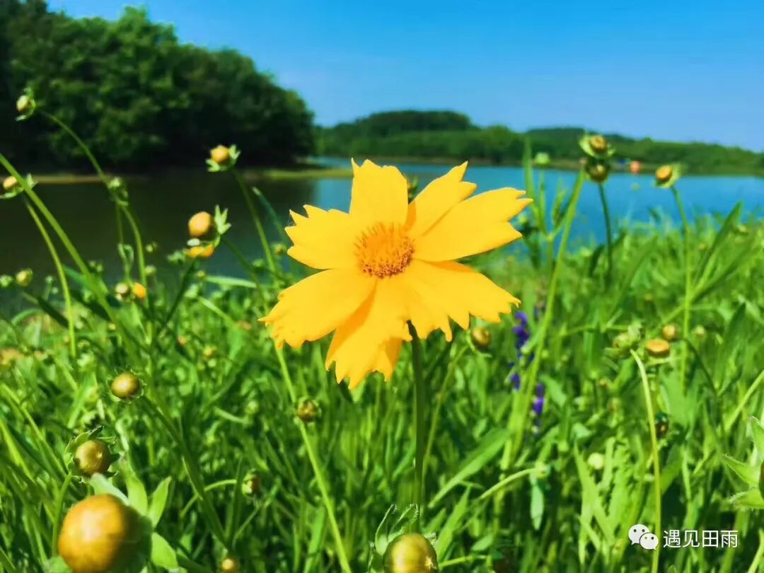 走过一生，终会明白，幸福就藏在被浪费的时光里