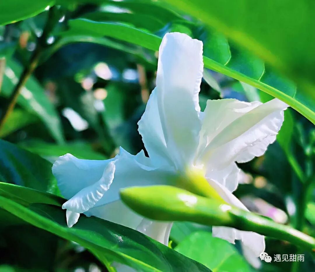 走过一生，终会明白，幸福就藏在被浪费的时光里