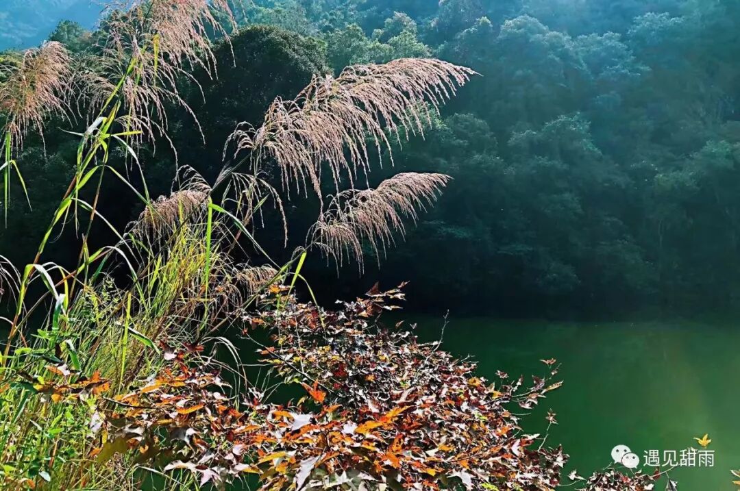 走过一生，终会明白，幸福就藏在被浪费的时光里