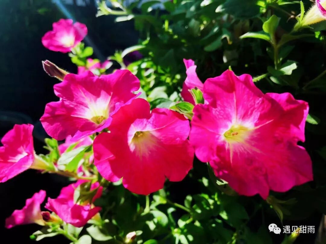 走过一生，终会明白，幸福就藏在被浪费的时光里