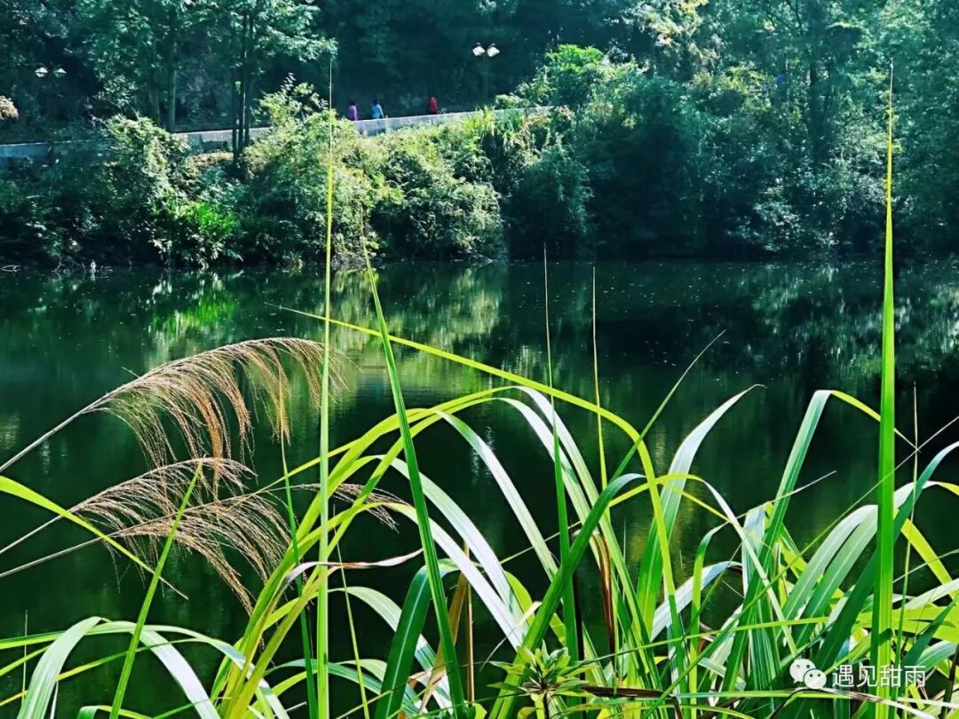 走过一生，终会明白，幸福就藏在被浪费的时光里