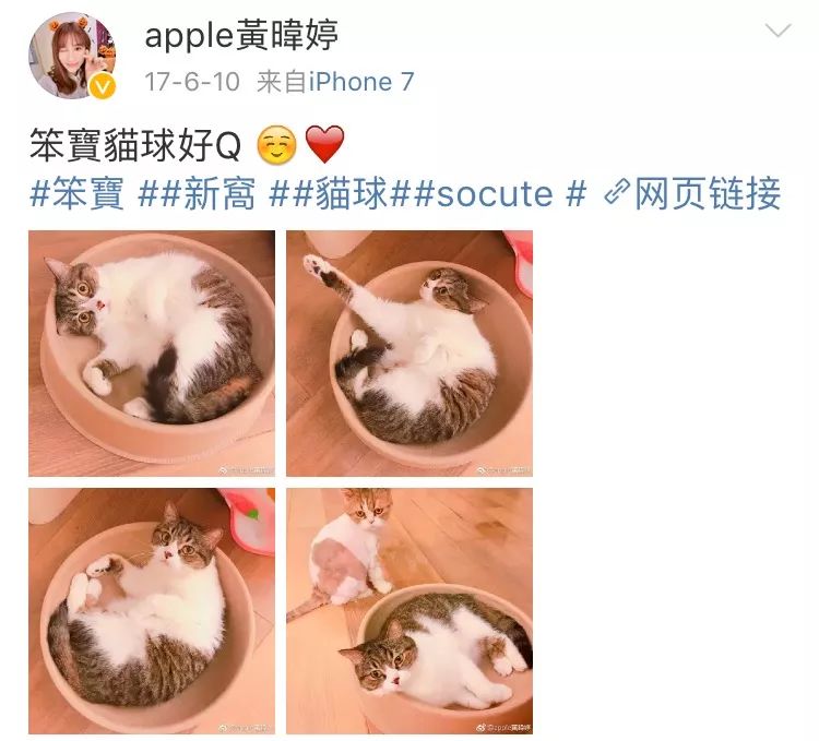 還記得黑澀會美眉里的apple嗎？她現在長這樣啦！ 科技 第24張