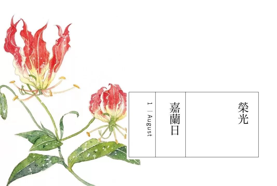 每日花历 8月 上 掬水月在手弄花香满衣 微信公众号文章阅读 Wemp