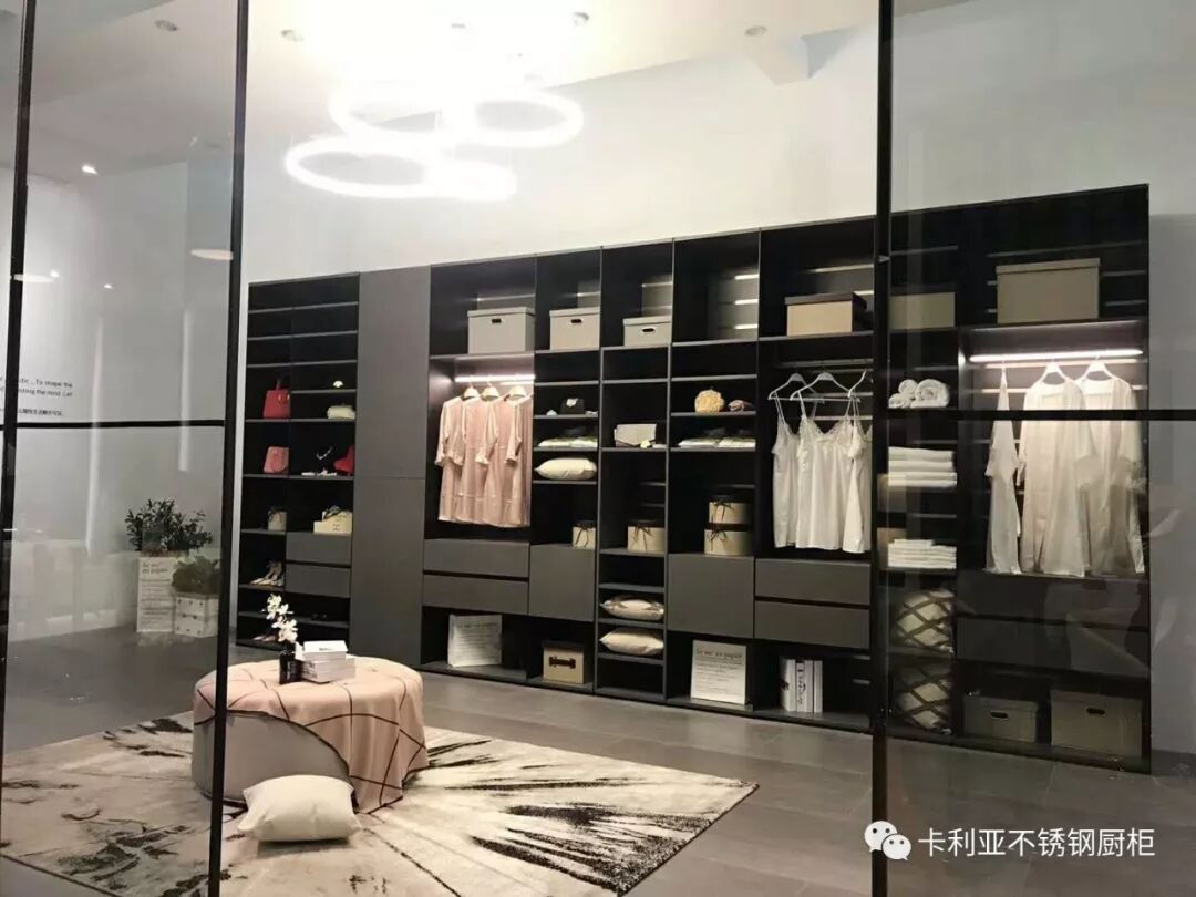 卡利亚不锈钢衣柜 | 空间与艺术完美整合,讲究的不止是环保