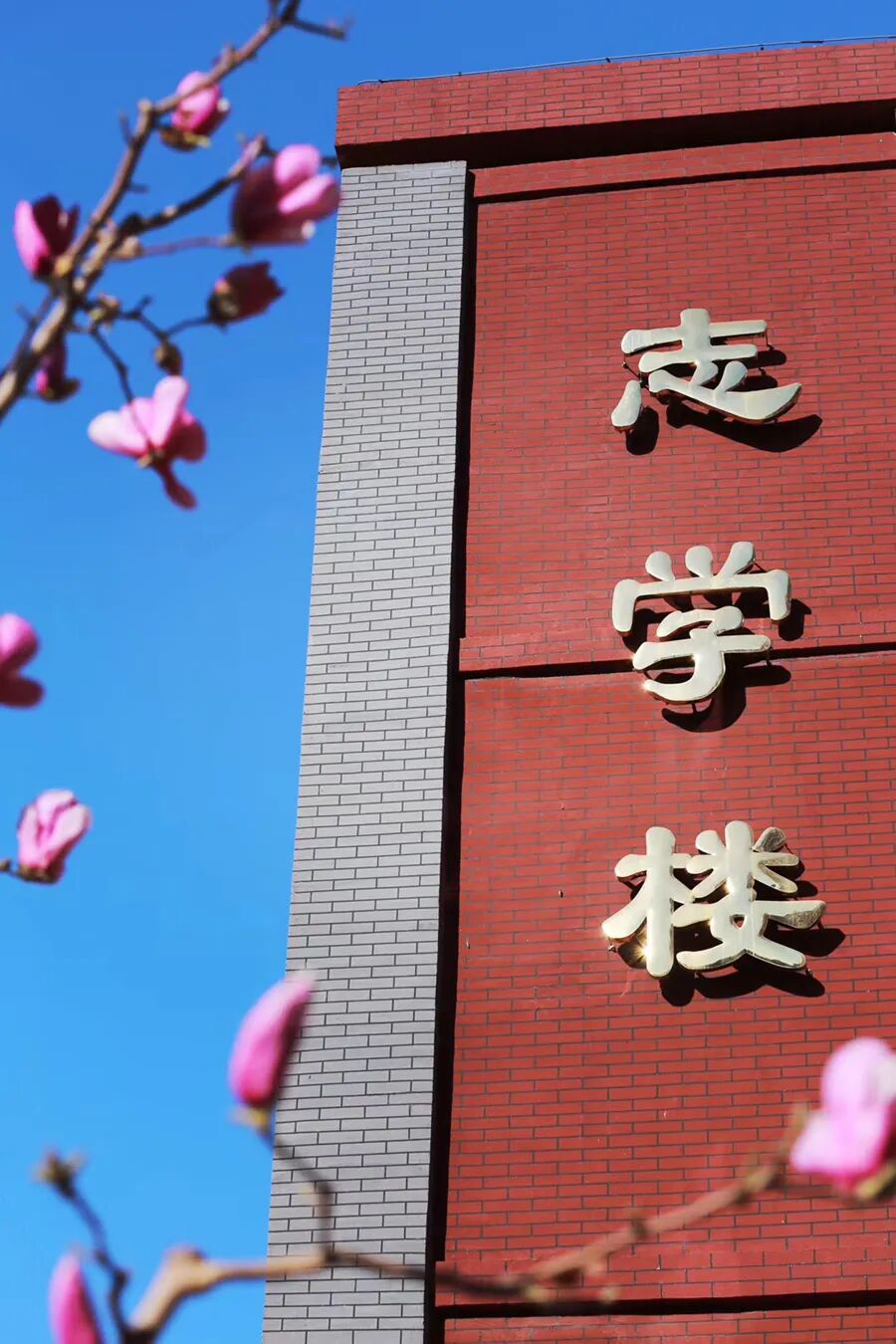 春天里我们一起看校园首都师大二附中微学堂32