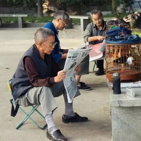 老年痴呆测试，五题全错的，请自觉住院