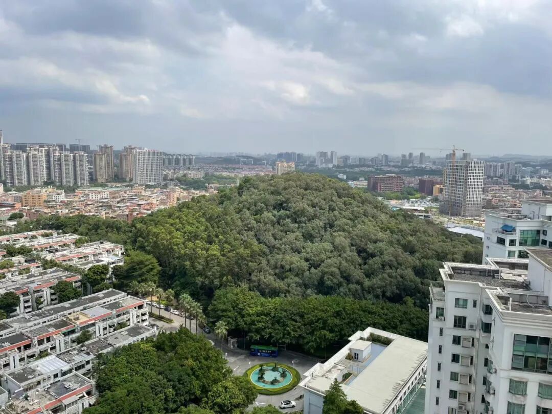 4.6万/㎡起！巨无霸社区的山景现房，买？