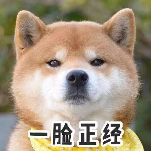 表情包库都输了就是有点歪通过这绿色的礼貌点娘仿佛感觉到了男主的