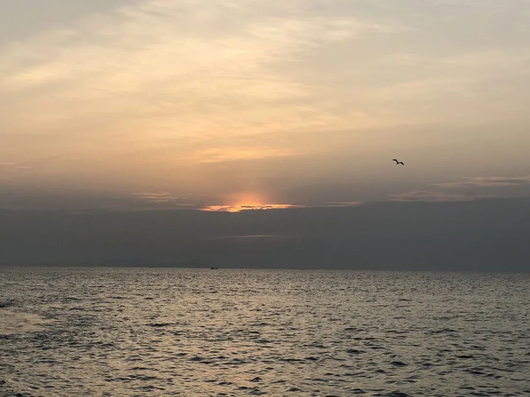 苏景怡+当落日的余晖映红了海面，听着海鸟的低鸣，这一刻，我们摒弃了尘世的浮华与嚣喧，只剩下天空与大海相守相望 压缩.jpg