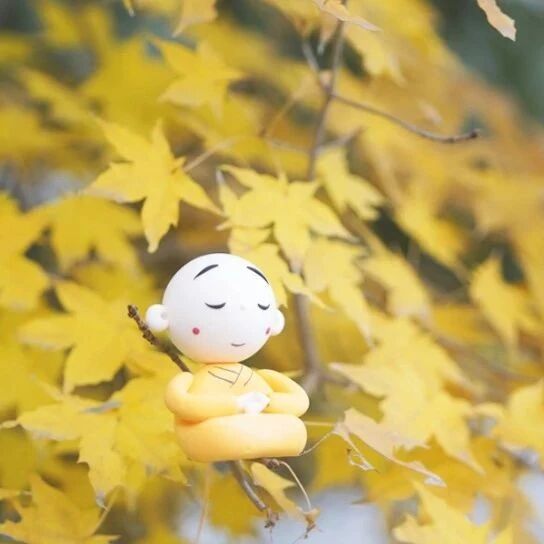 不要包装自己，要改变自己