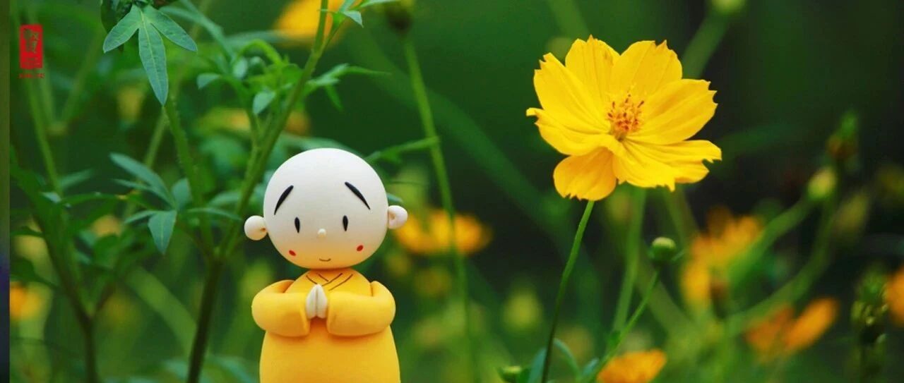 占小便宜，就降低了自己的价值