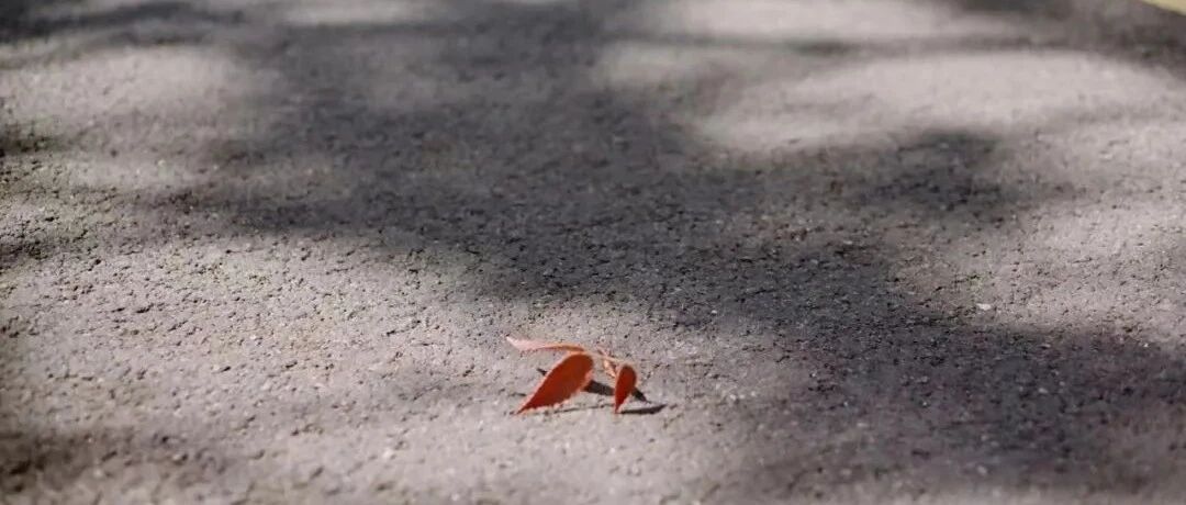 @宁波人，就在明天！还有一年中最为"危险"的日子也来了!