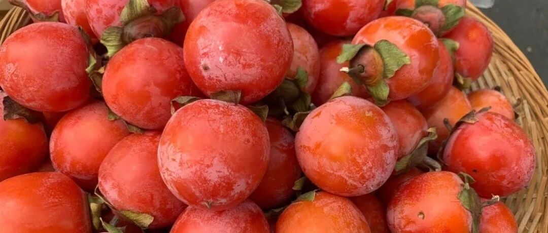 浙江大伯胃里长出"石头",竟是因为贪吃…这款水果近期大量上市,很多宁波人也爱吃!