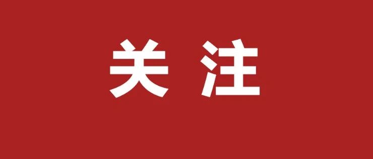 正式揭晓！就在31日晚上8点！