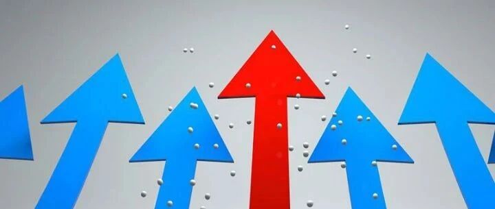 涨↗涨↗涨↗再次刷新纪录！宁波市场的情况是…