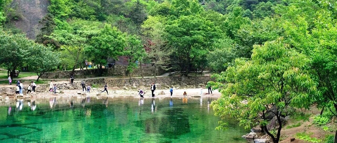 扩散提醒：宁波一景区关闭！关于疫情防控，市疾控中心最新回应！