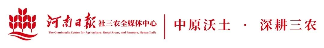 “村”游寻秋｜信阳西河古·中原古村的诗意栖居