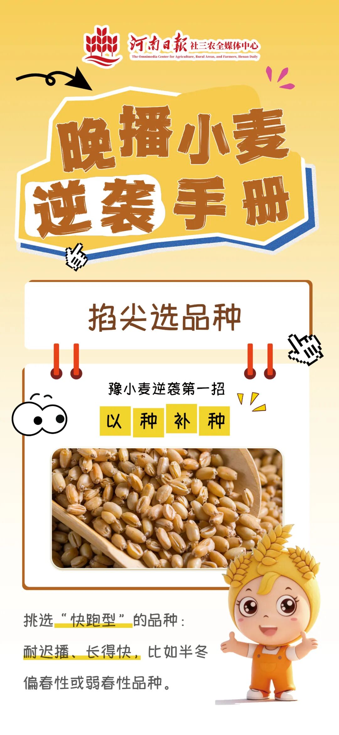 晚播小麦逆袭手册 | 掐尖选品种