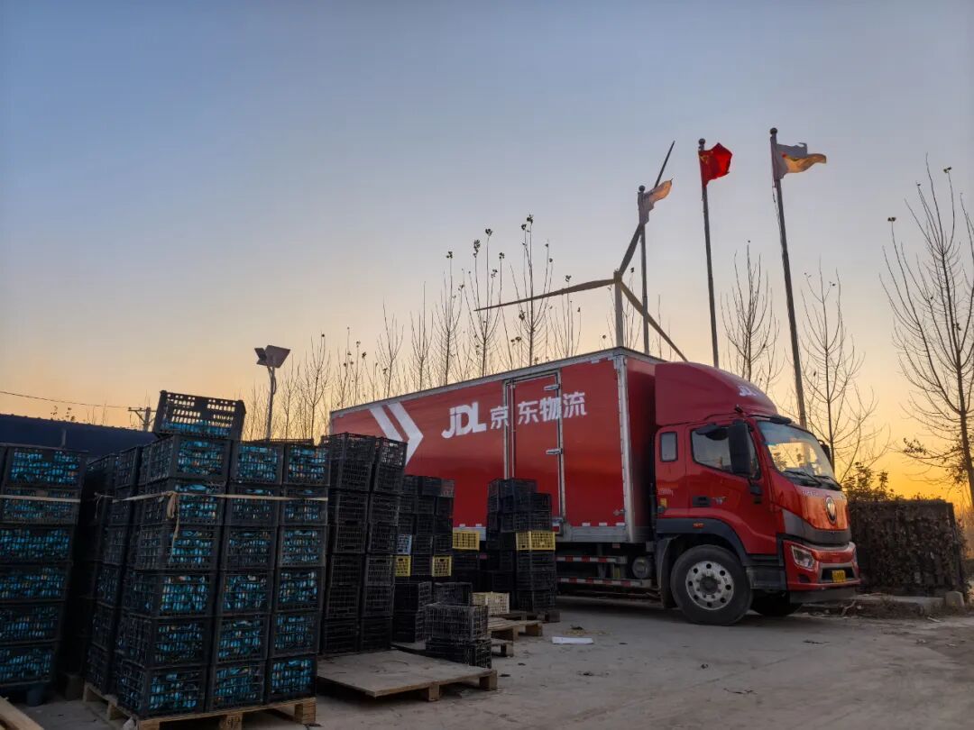 河南特色畜禽產業有多“特”