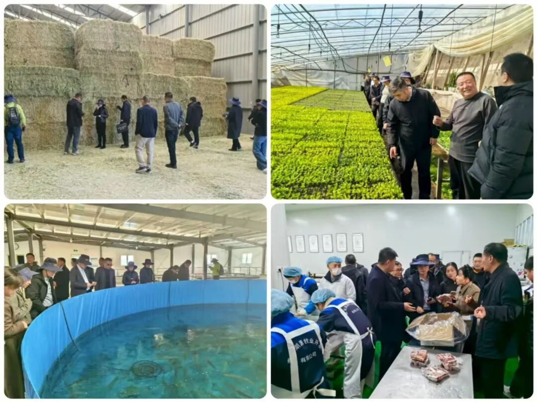 浙青專家團賦能海西發(fā)展 ▏微松科技：為援青冷鏈車裝上 “智慧大腦