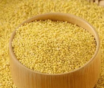 粥煮高粱米怎么做好吃_胡萝卜牛肉粥怎样煮好吃_小米粥怎样煮好吃