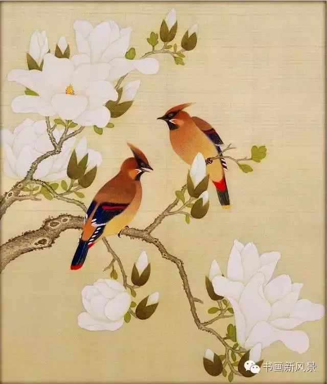 唯美国画玉兰花儿开