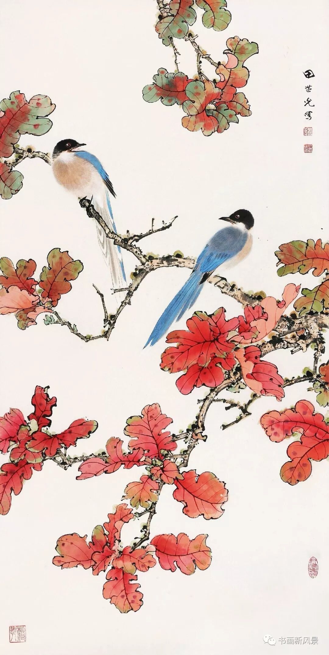 今天送给大家一组花鸟大师田世光的红叶喜鹊,祝朋友们秋来,喜来