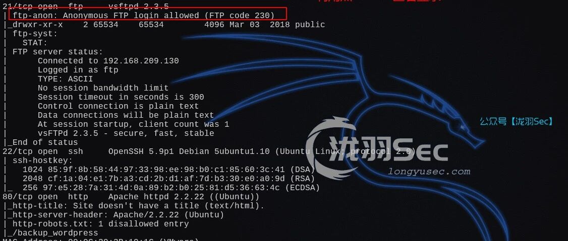Example Image