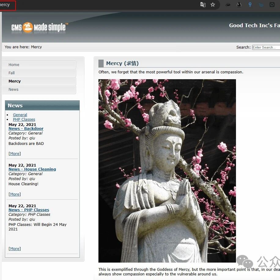 Example Image
