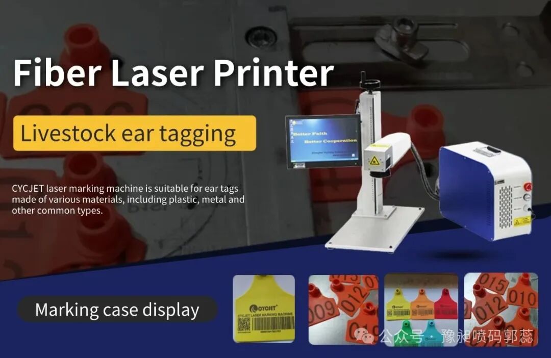 微信图片_20251124134409