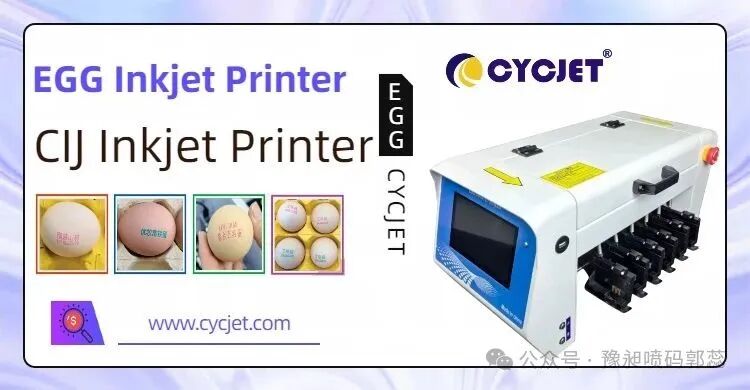 微信图片_20250703092902